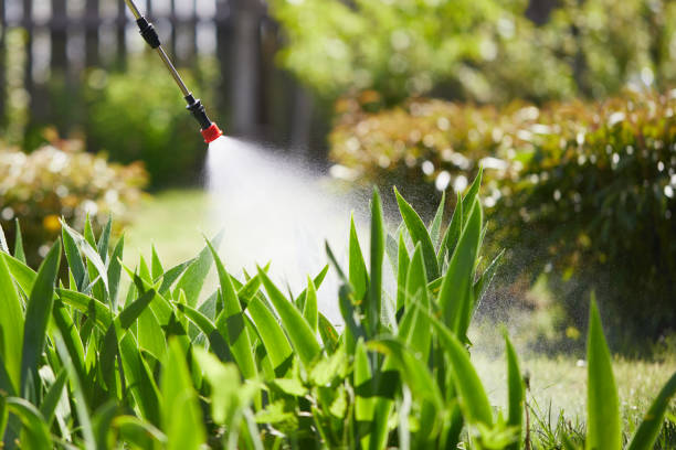24/7 Emergency Wasp Removal experts in Badin, NC