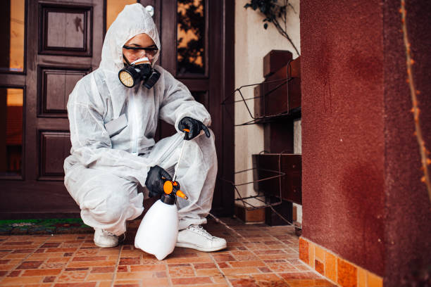Reliable Wasp Removal contractor in Badin, NC by Show Me Pest Control